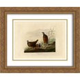 thumbnail image 1 of John James Audubon 2x Matted 24x20 Gold Ornate Framed Art Print 'Plate 172 Blue-headed Pigeon', 1 of 2