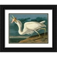 thumbnail image 1 of John James, Audubon 32x25 Black Ornate Wood Framed with Double Matting Museum Art Print Titled - Great White Heron, 1 of 4