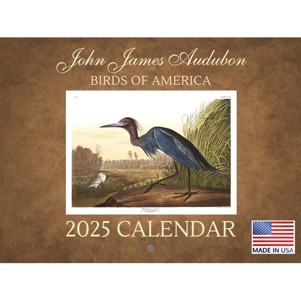 Wholesale Feminist Calendar 2026 Women Rights Agenda Monthly Wall Calender 12 Month For Your Store