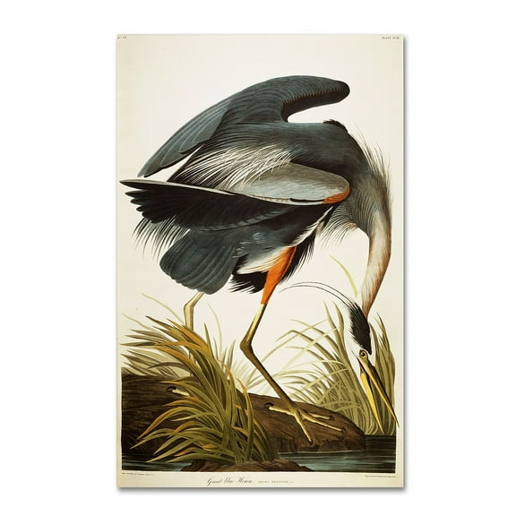Trademark Fine Art John James Audubon Great Blue Heron Canvas Wall Art - 16x24