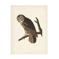 thumbnail image 1 of John James Audubon 'Great Cinereous Owl' Canvas Art, 1 of 3