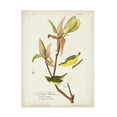 thumbnail image 1 of John James Audubon 'Kentucky Warbler' Canvas Art, 1 of 3