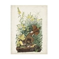 thumbnail image 1 of John James Audubon 'Meadow Lark' Canvas Art, 1 of 3