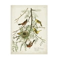 thumbnail image 1 of John James Audubon 'Orchard Oriole' Canvas Art, 1 of 3