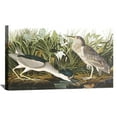 thumbnail image 1 of John James Audubon Painting Night Heron By Audubon Canvas Art Birds Framed Wall Art, 1 of 7