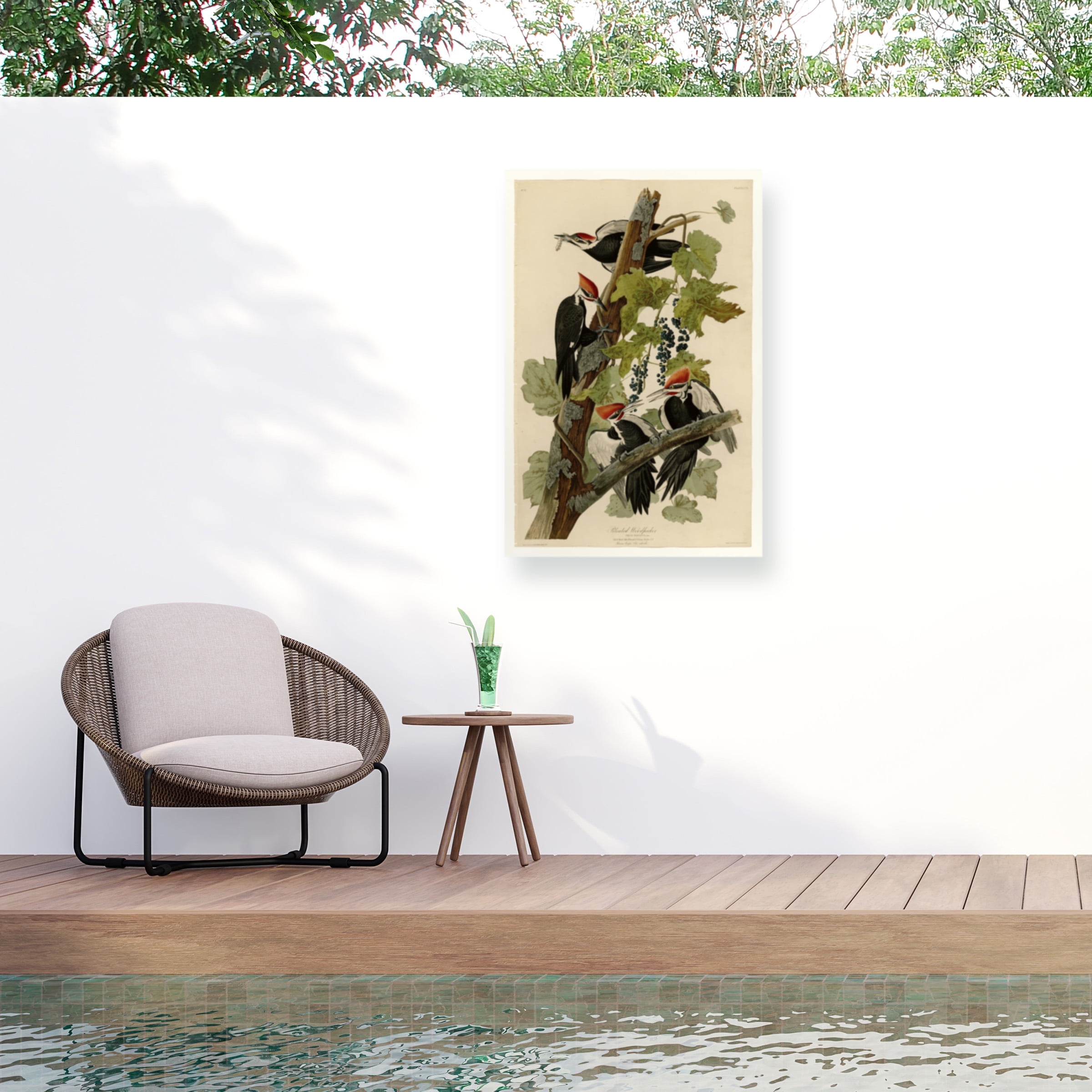 Large Tan and Green Canvas Print of Pileated Woodpeckers
