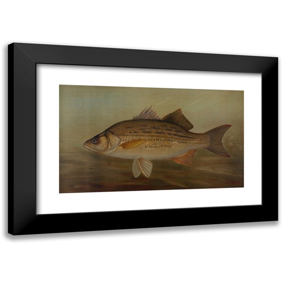 John L. Petrie 14x10 Black Modern Framed Museum Art Print Titled - The Pike, Lucius Lucius. (1898)
