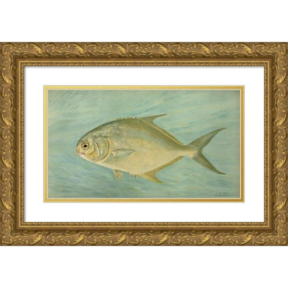 John L. Petrie 18x12 Gold Ornate Wood Frame and Double Matted Museum Art Print Titled - The Pompano, Trachinotus Carolinis. (1898)