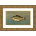thumbnail image 1 of John L. Petrie 24x16 Gold Ornate Framed and Double Matted Museum Art Print Titled - The Dollar or Butter Fish, Rhombus Triacanthus. (1898), 1 of 4