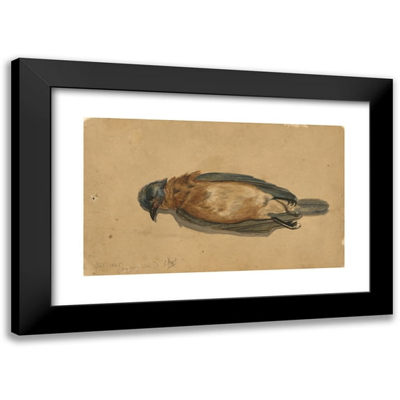 John La Farge 24x16 Black Modern Framed Museum Art Print Titled - Dead Bird (1845)
