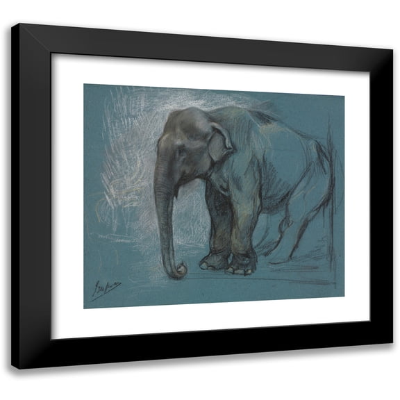 John Macallan Swan 14x12 Black Modern Framed Museum Art Print Titled - Study of an Elephant