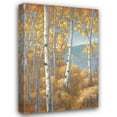 thumbnail image 1 of John Macnab 28x40 Gallery Wrapped Canvas Wall Art Titled - Aspen Forest I, 1 of 4