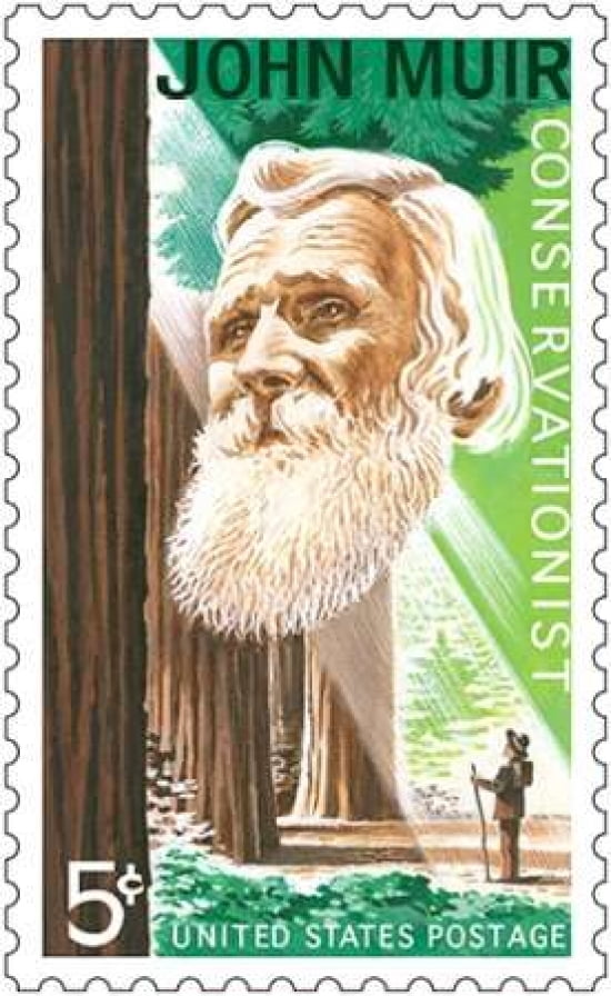 John Muir Canvas Art - US POSTAL SERVICE (24 x 36)