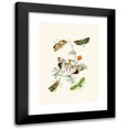 thumbnail image 1 of John Obadiah Westwood 14x18 Black Modern Framed Museum Art Print Titled - The Cabinet of Oriental Entomology Pl IV (1848), 1 of 5
