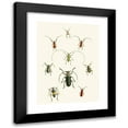 thumbnail image 1 of John Obadiah Westwood 14x18 Black Modern Framed Museum Art Print Titled - The Cabinet of Oriental Entomology Pl XXX (1848), 1 of 5
