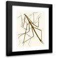 thumbnail image 1 of John Obadiah Westwood 19x24 Black Modern Framed Museum Art Print Titled - The Cabinet of Oriental Entomology Pl XXXIII (1848), 1 of 5