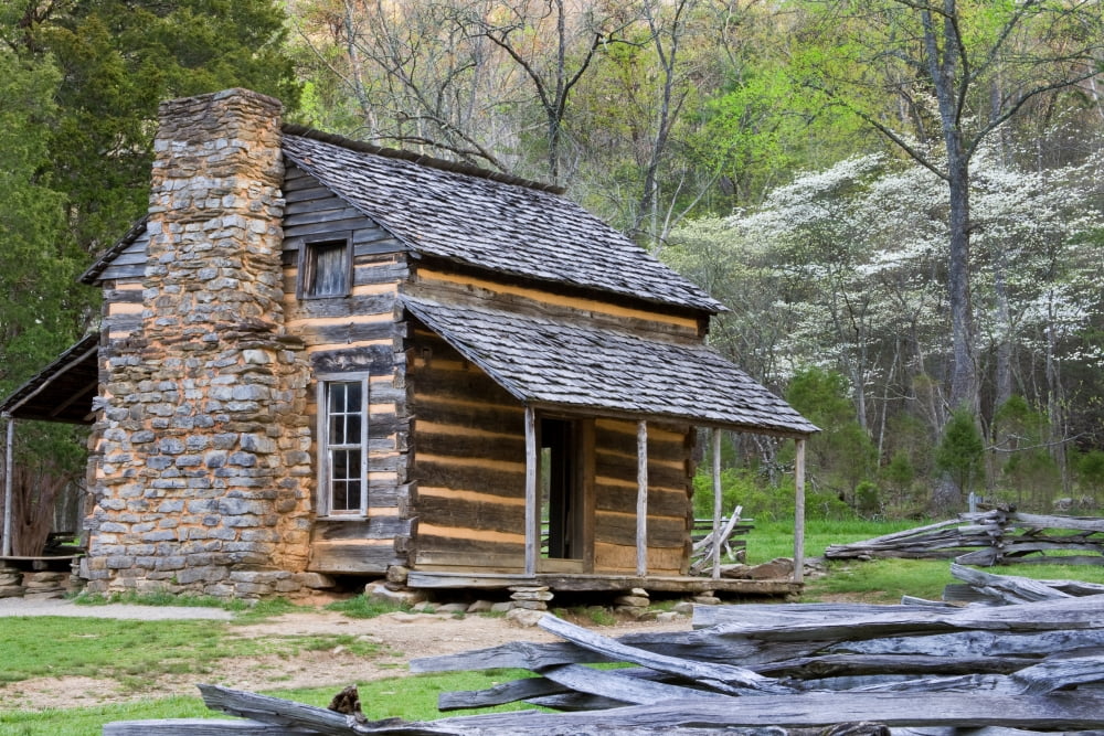 John Oliver Cabin in a forest Cades Cove Great Smoky Mountains National Park Tennessee USA Canvas Art - Panoramic Images (24 x 36)
