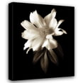 thumbnail image 1 of John Rehner 20x24 Gallery Wrapped Canvas Wall Art Titled - Portrait in White I, 1 of 4