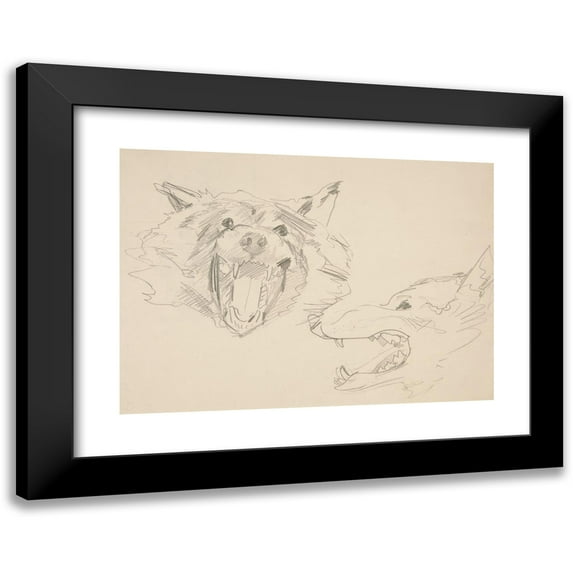 John Singer Sargent 18x14 Black Modern Framed Museum Art Print Titled - Two Views of a Wolf's Head