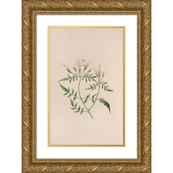 John Stevens Henslow 11x14 Gold Ornate Wood Frame and Double Matted Museum Art Print Titled - Strawberry Tree (1840)