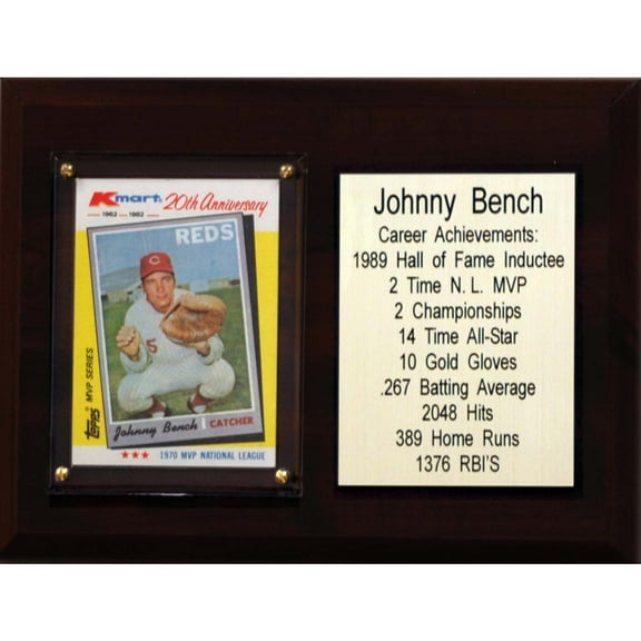 Johnny Bench Cincinnati Reds 6'' x 8'' Plaque