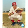 thumbnail image 1 of Johnny Bench - Posed Catching Sports Photo, 1 of 1