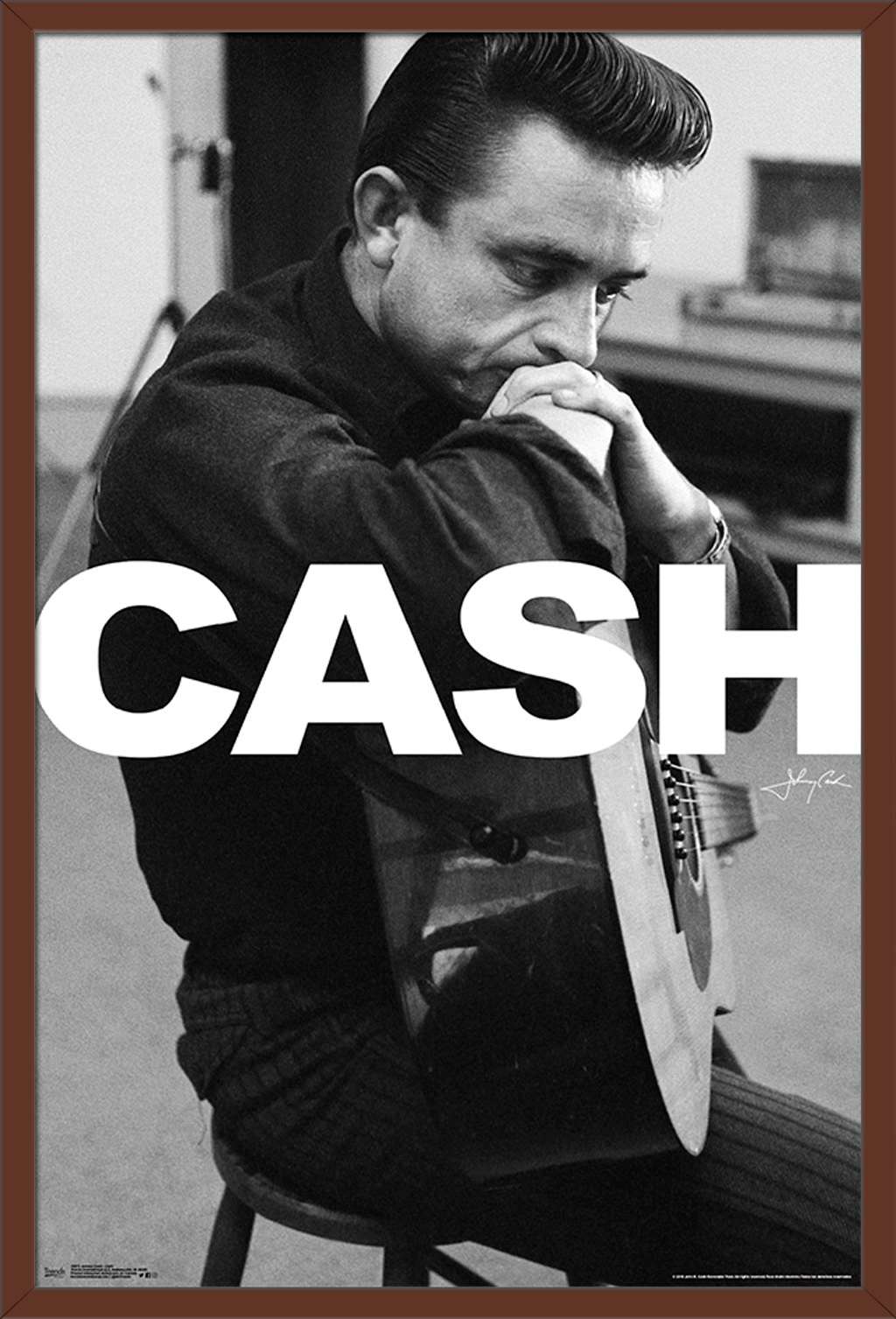 Johnny Cash - Cash Poster - image 1 of 2