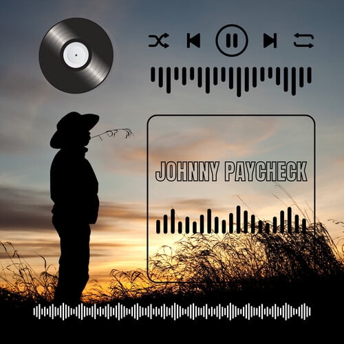 Johnny Paycheck - Johnny Paycheck's Collection of Hits - Music & Performance - CD