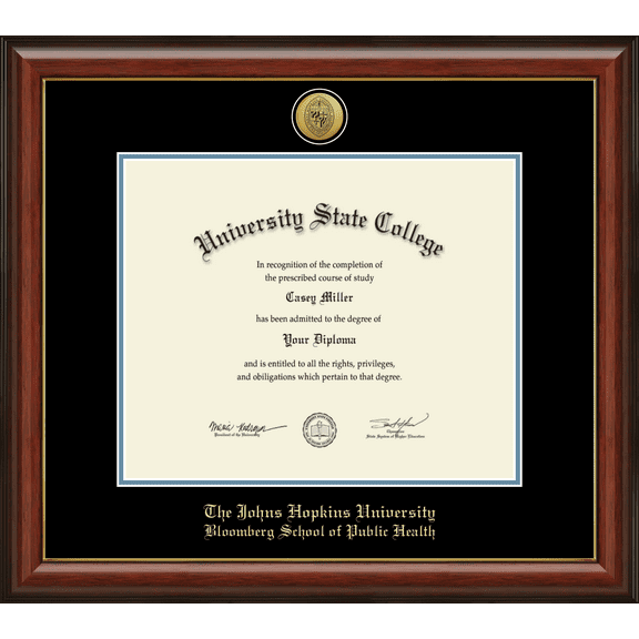 Johns Hopkins University Bloomberg School of Public Health Diploma Frame, Document Size 17" x 14"