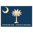 thumbnail image 1 of Johns Island, South Carolina, State Flag, Letterpress Birch Wood Wall Sign (12x18 Rustic Home Decor, Ready to Hang Art), 1 of 5