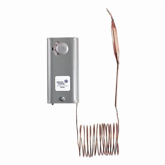 Johnson Controls Remote-Bulb Control,H/C,5in Bulb Length A19ABC-4C