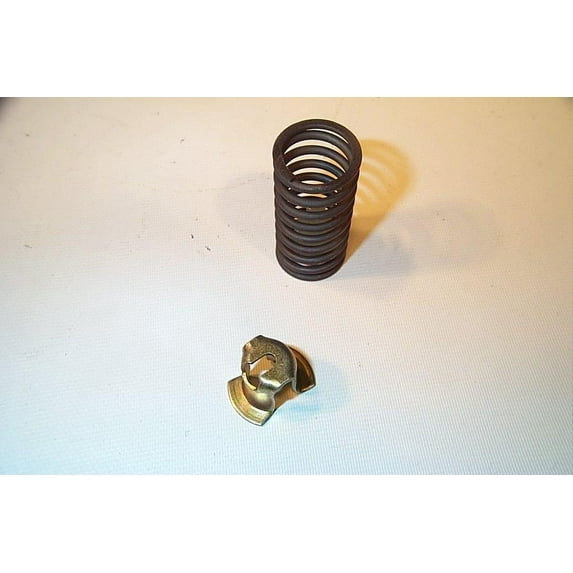 Johnson Controls V-9999-6001 - SPRING KIT,3-6#,5/16"STROKE