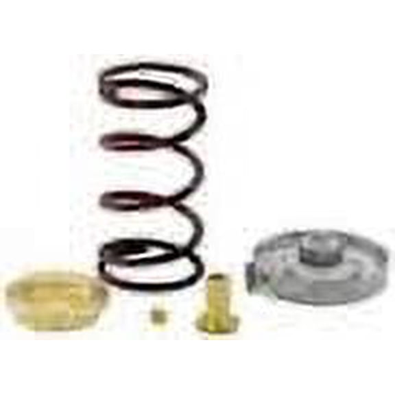 Johnson Controls Valve Spring Kit - V-4332-6001