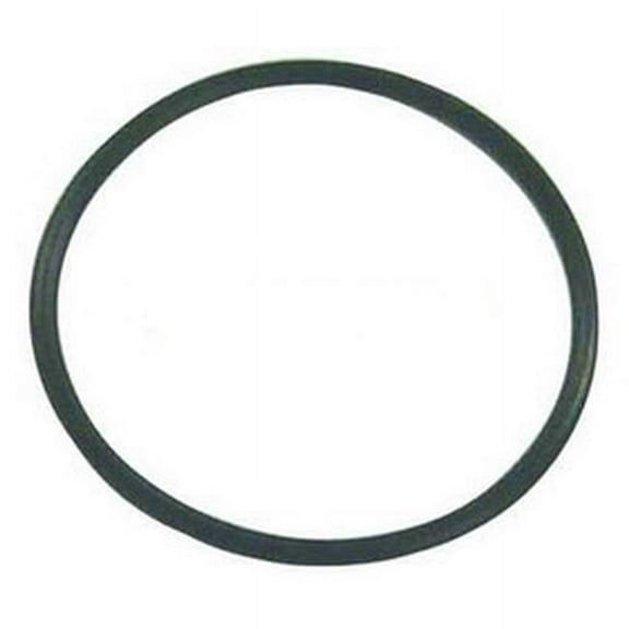 Johnson Evinrude OMC New OEM Driveshaft Bearing Rubber O-Ring, 0313754