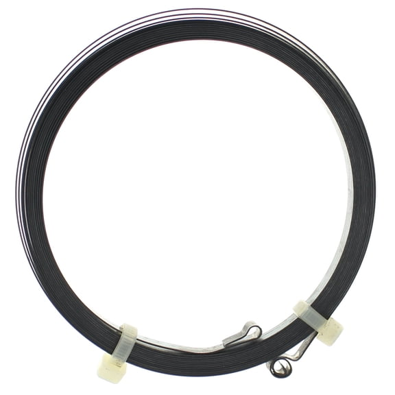 Johnson/Evinrude/OMC New OEM Outboard Starter Rewind Spring, 0312932