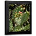 thumbnail image 1 of Johnson, George 11x14 Black Modern Framed Museum Art Print Titled - Cactus Flowers II, 1 of 5