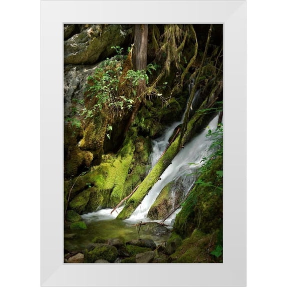 Johnson, George 13x18 White Modern Wood Framed Museum Art Print Titled - North Cascades NP IV