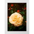 thumbnail image 1 of Johnson, George 13x18 White Modern Wood Framed Museum Art Print Titled - Yellow Rose, 1 of 4