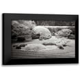 thumbnail image 1 of Johnson, George 14x11 Black Modern Framed Museum Art Print Titled - San Francisco Garden II, 1 of 5