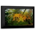 thumbnail image 1 of Johnson, George 14x11 Black Modern Framed Museum Art Print Titled - Schloss Hohenschwangau I, 1 of 5