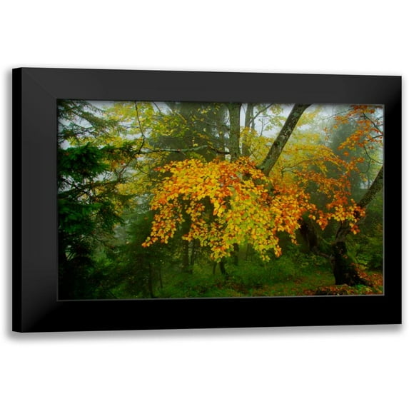 Johnson, George 14x11 Black Modern Framed Museum Art Print Titled - Schloss Hohenschwangau I