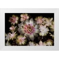thumbnail image 1 of Johnson, George 14x11 White Modern Wood Framed Museum Art Print Titled - Small Succulents, 1 of 4