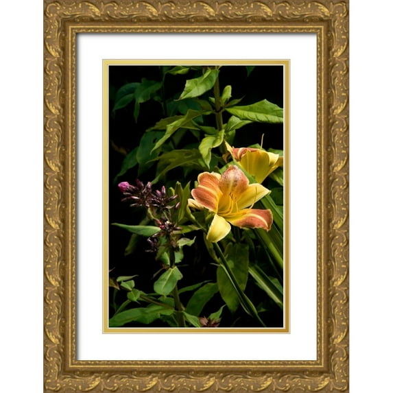 Johnson, George 17x24 Gold Ornate Wood Framed with Double Matting Museum Art Print Titled - Pink and Yellow Lily