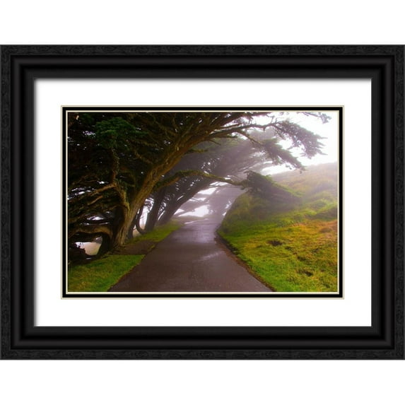Johnson, George 18x13 Black Ornate Wood Framed with Double Matting Museum Art Print Titled - Foggy Path