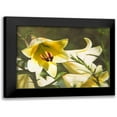 thumbnail image 1 of Johnson, George 18x14 Black Modern Framed Museum Art Print Titled - Garden Lilies, 1 of 5