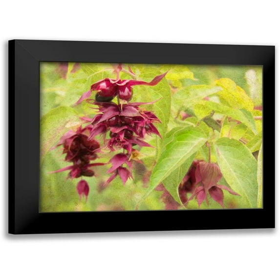 Johnson, George 18x14 Black Modern Framed Museum Art Print Titled - Red Berries and Green Leaves