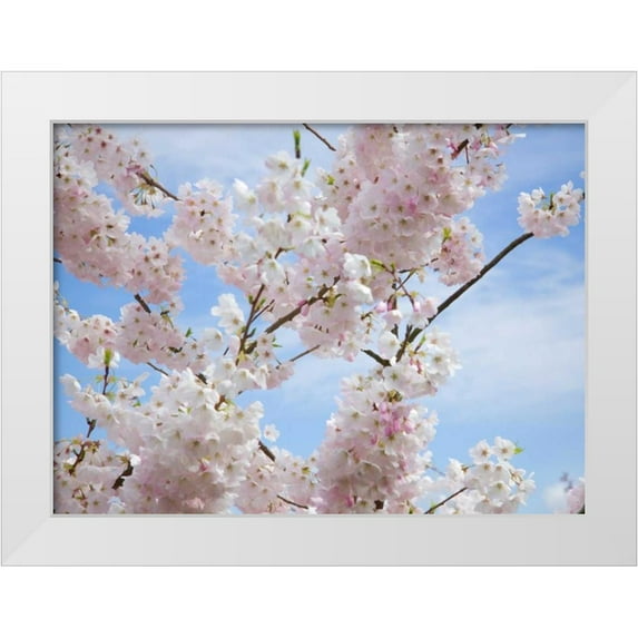 Johnson, George 18x14 White Modern Wood Framed Museum Art Print Titled - Spring Blossoms