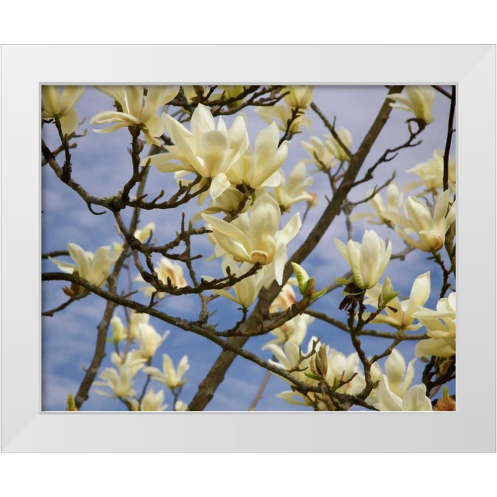 Johnson, George 18x15 White Modern Wood Framed Museum Art Print Titled ...