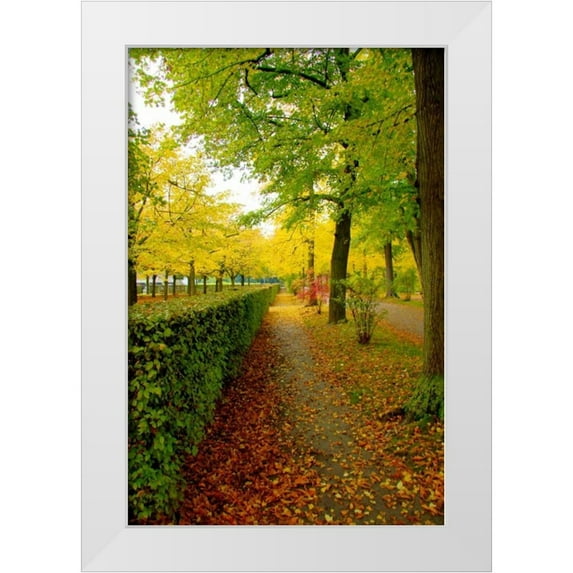 Johnson, George 23x32 White Modern Wood Framed Museum Art Print Titled - Wurzburg IV