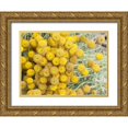 thumbnail image 1 of Johnson, George 24x19 Gold Ornate Wood Framed with Double Matting Museum Art Print Titled - Yellow Puff Balls, 1 of 4